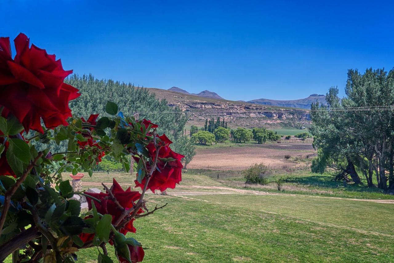 Linwood Guest Farm * Clarens