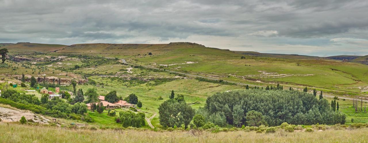 Linwood Guest Farm